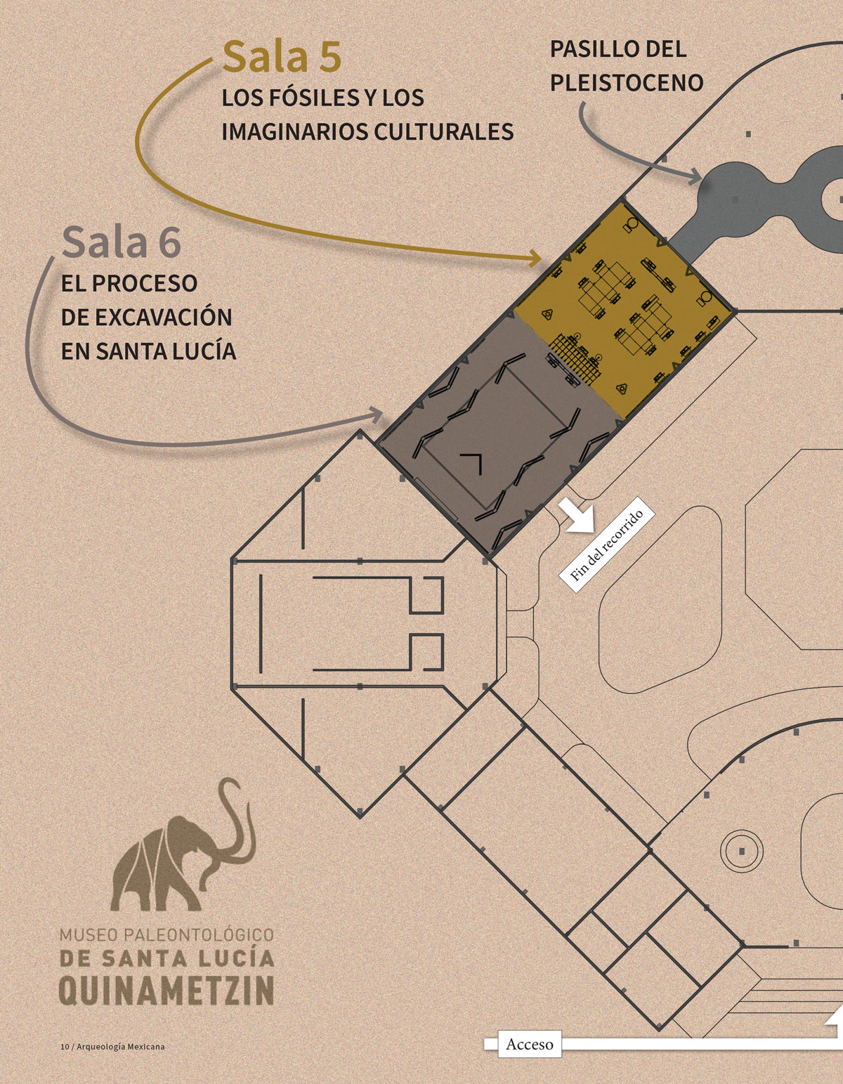 AME 110 Quinametzin. Museo paleontológico de Santa Lucía