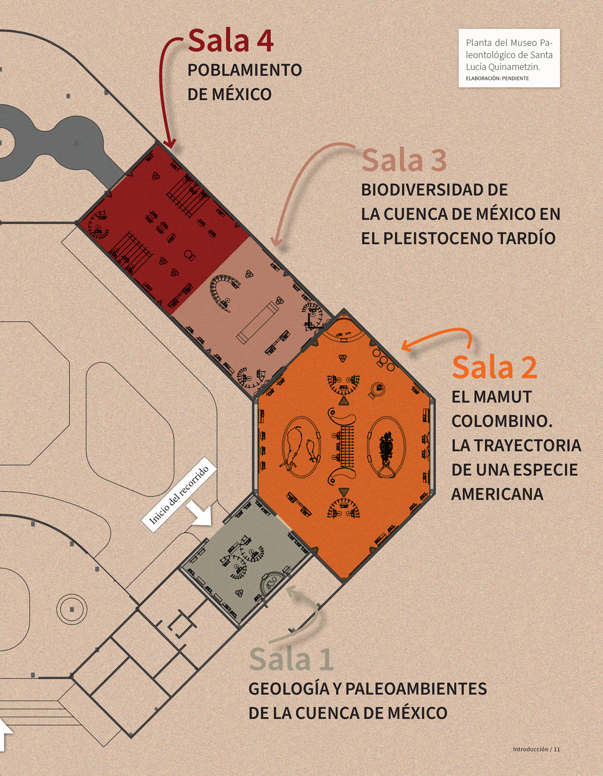 AME 110 Quinametzin. Museo paleontológico de Santa Lucía