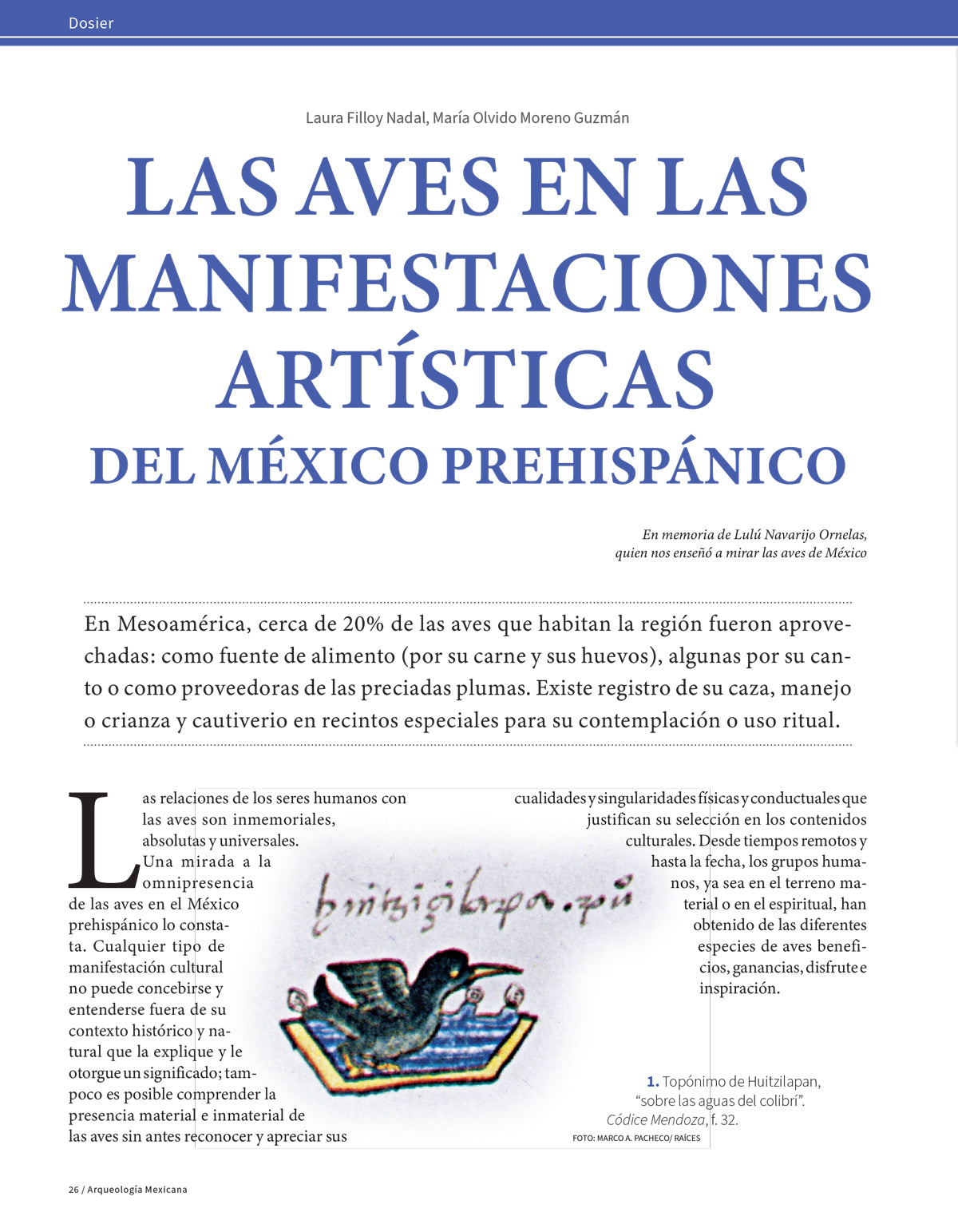 AMR 182 Aves del México antiguo