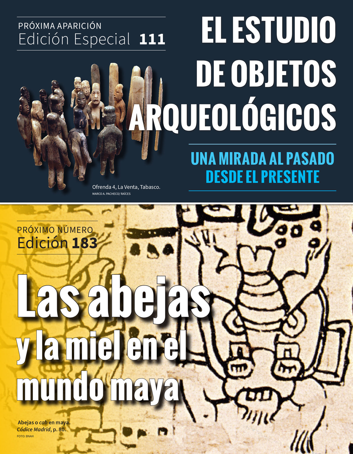 Aves del México antiguo