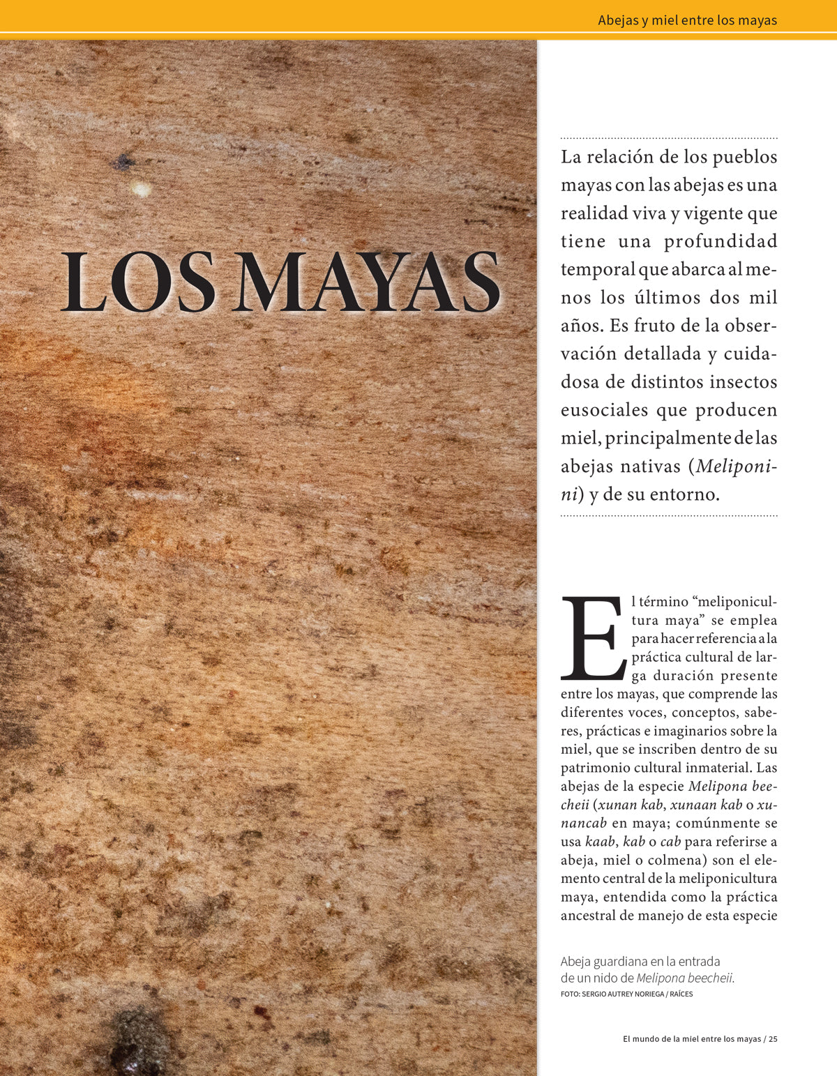 AMR 183 Las abejas y la miel entre los mayas