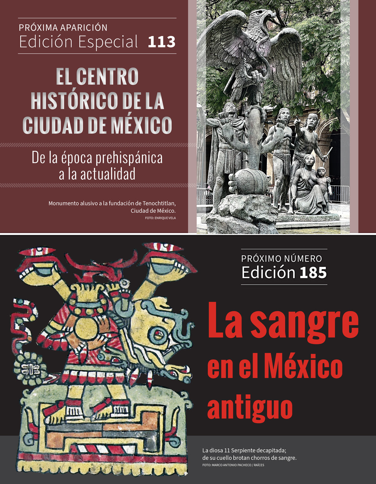 Las chinampas de la Cuenca de México