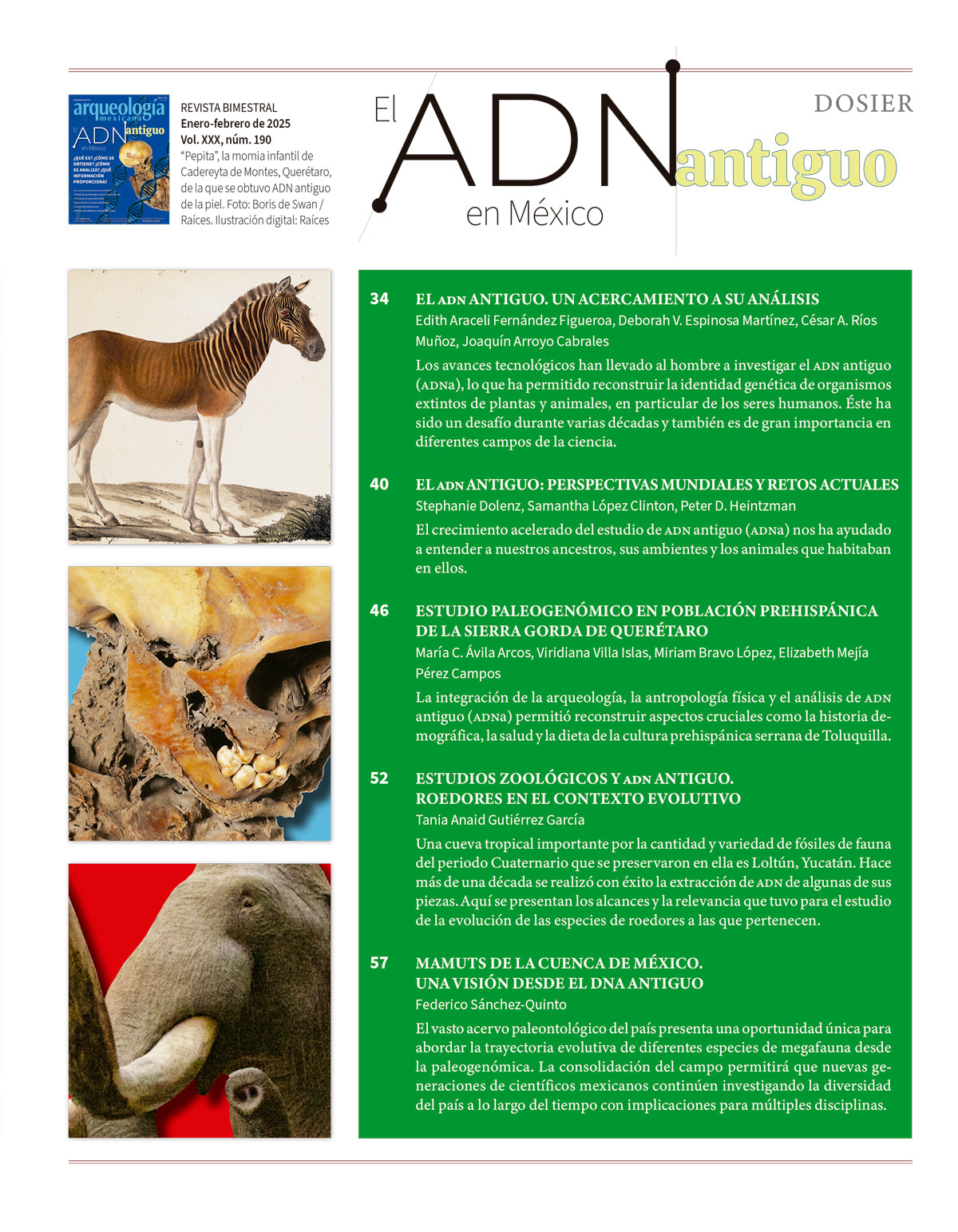 AMR 190 El ADN antiguo en México