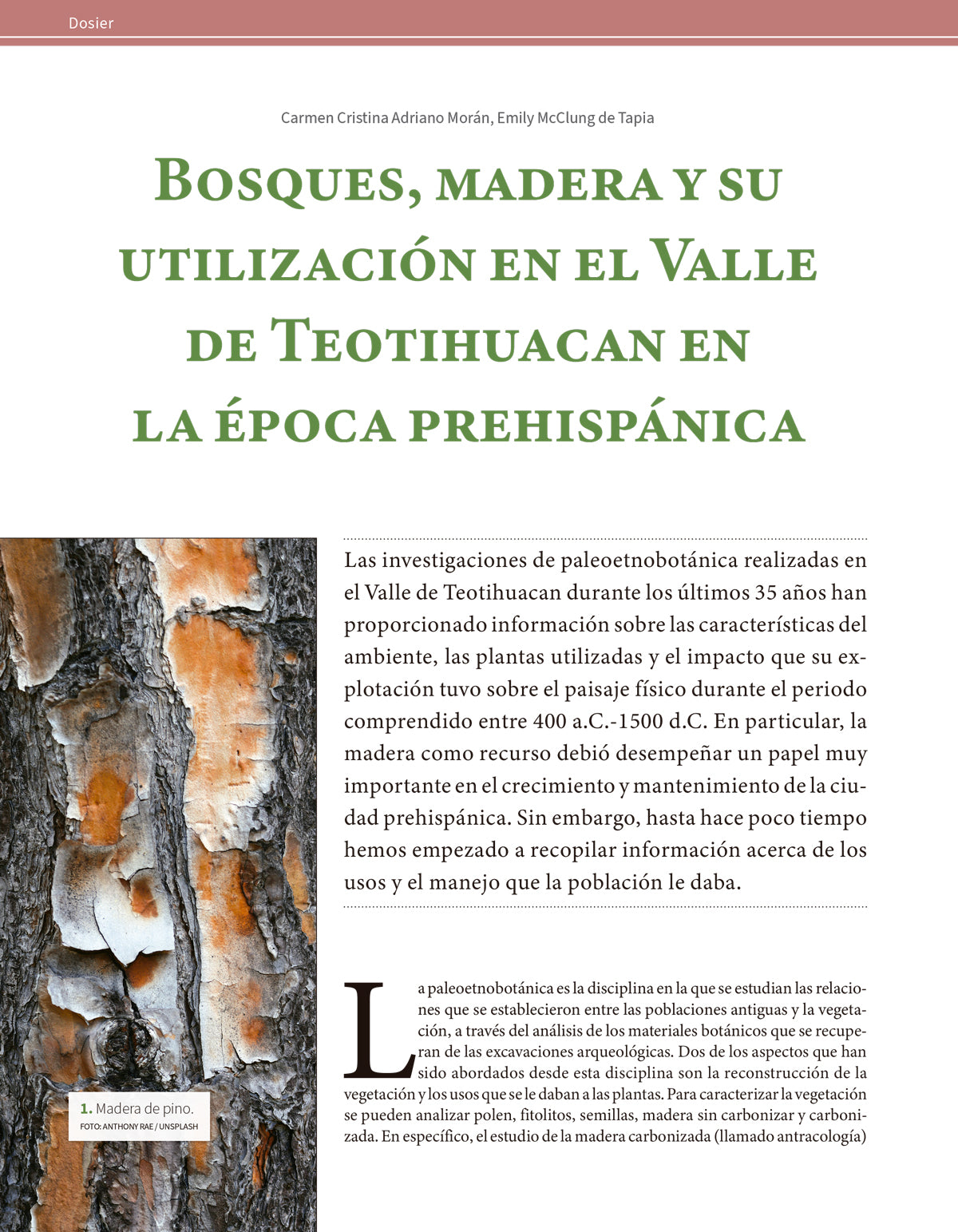 La madera en la época prehispánica