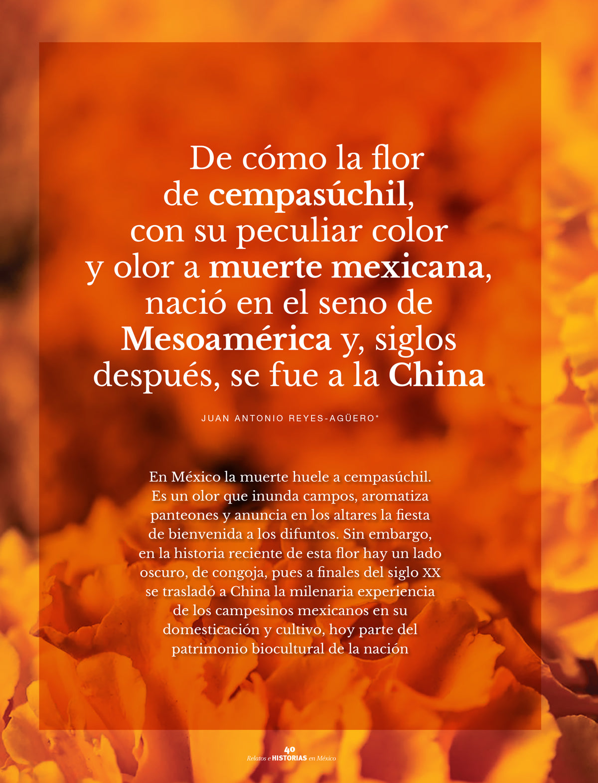 Flor de muertos