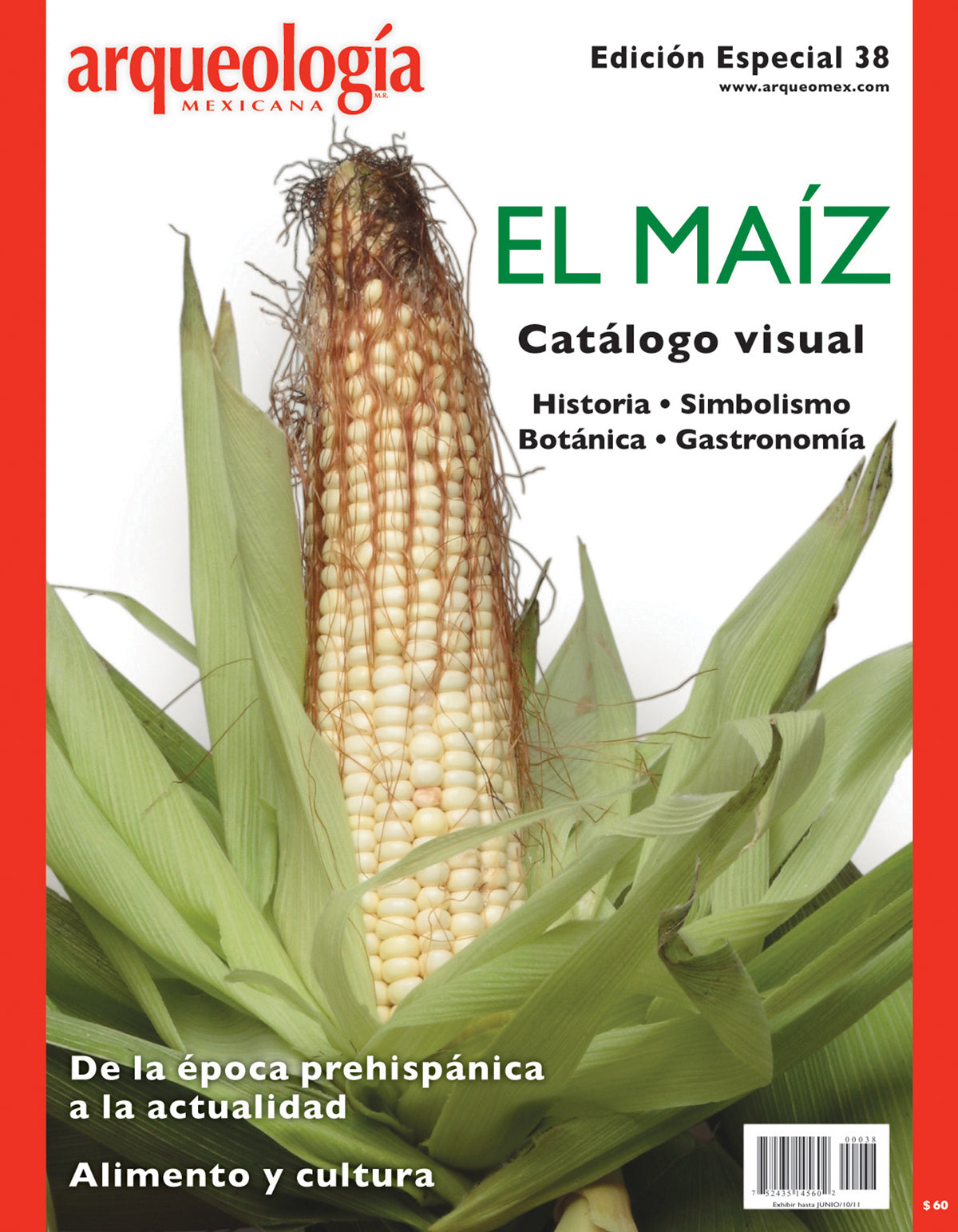 El maíz. Catálogo visual