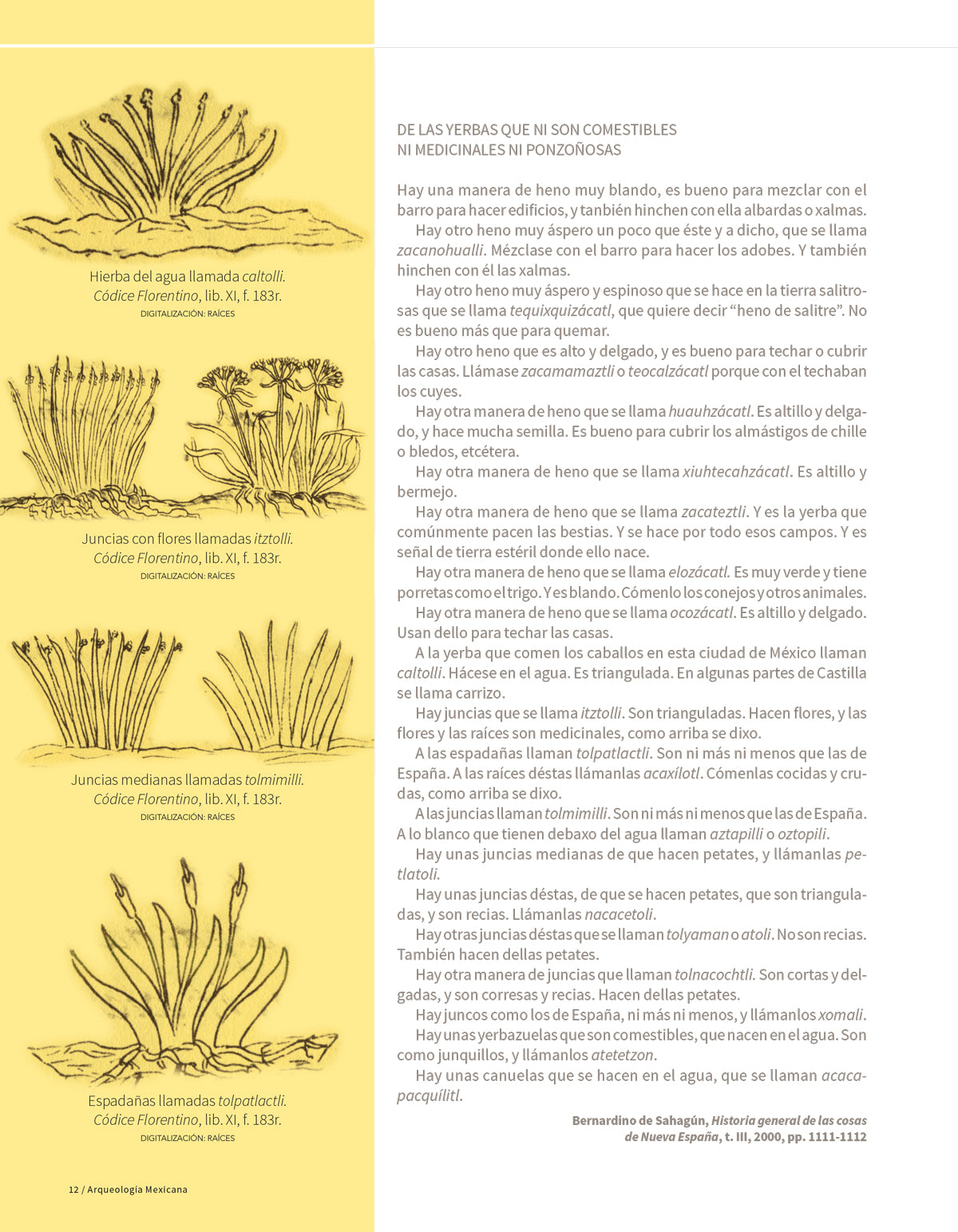 La cestería en México. Un panorama visual