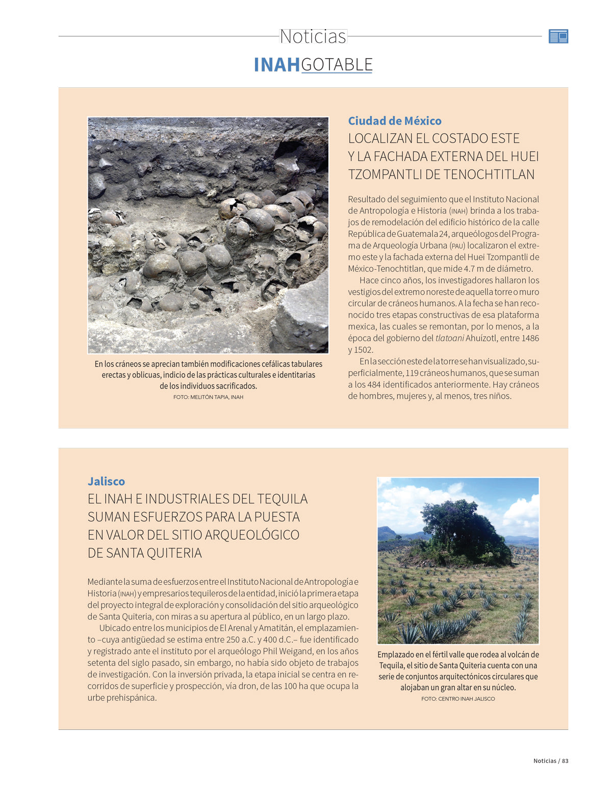 Cabezas colosales Olmecas