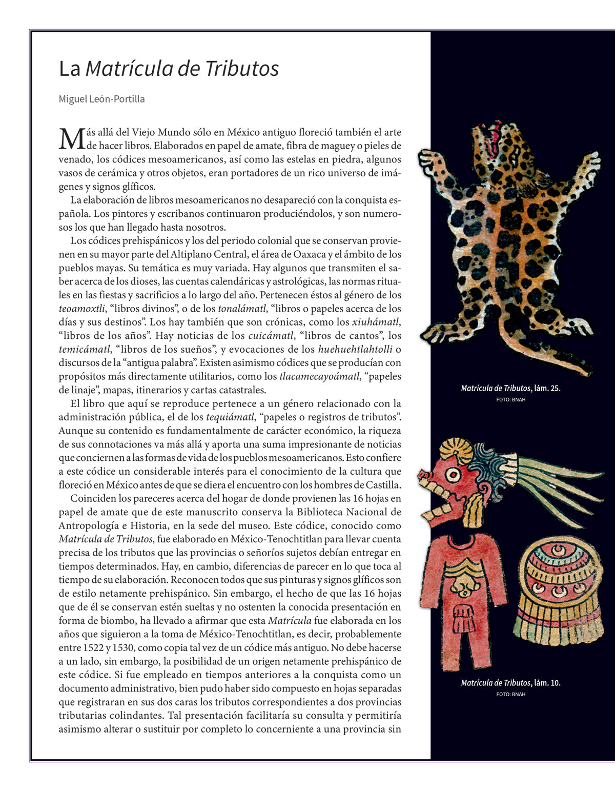 AME 101 La matrícula de tributos. Edición facsimilar