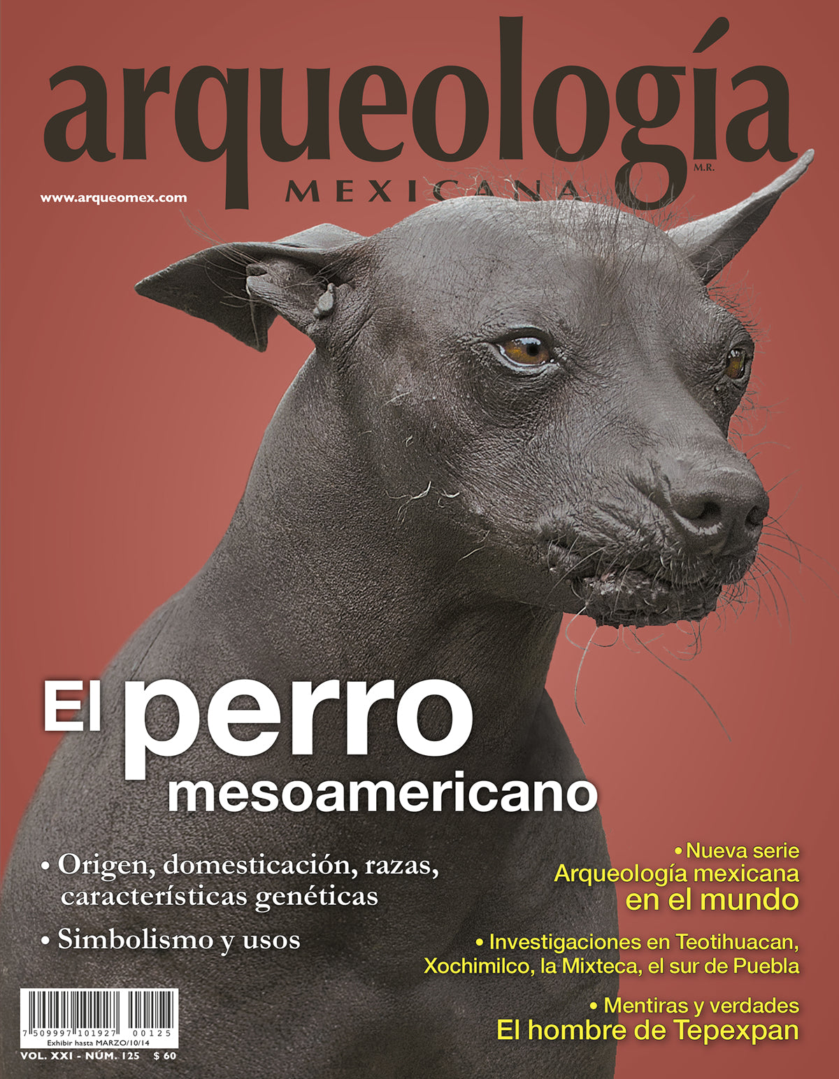 El perro mesoamericano