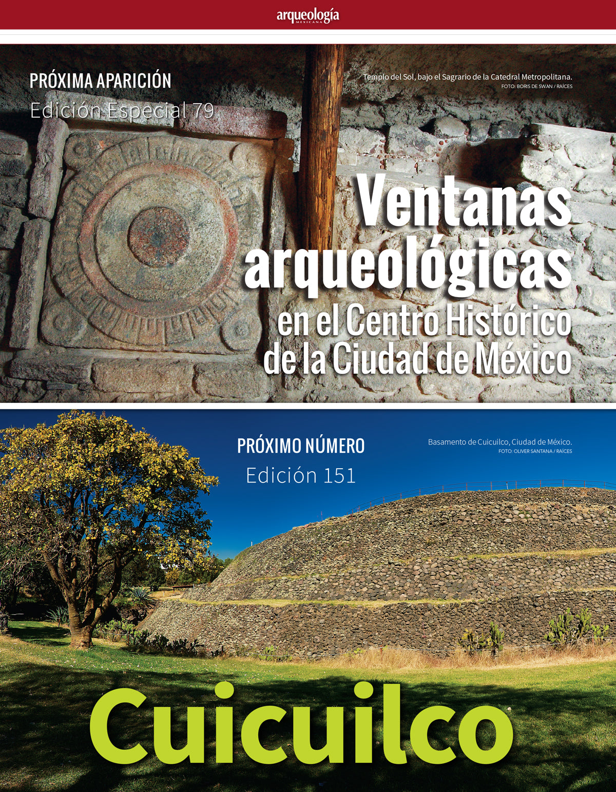 Los Olmecas de San Lorenzo Veracruz