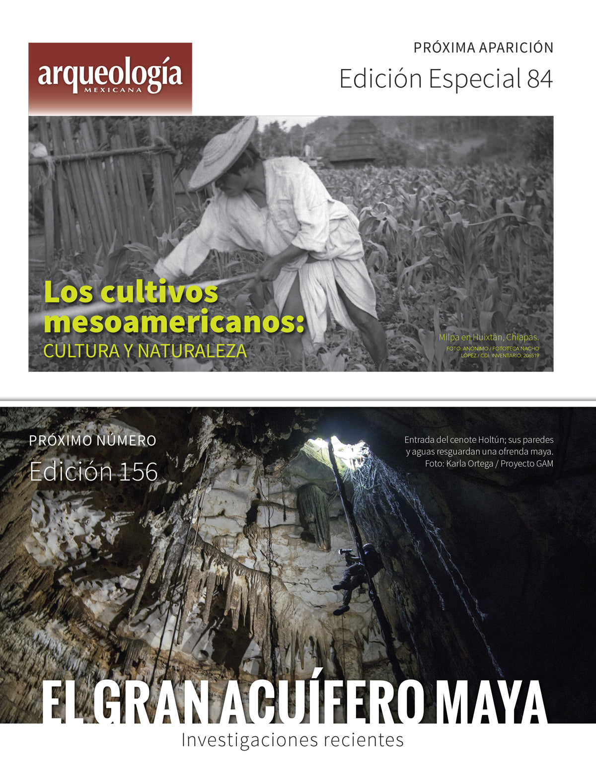 Tehuacán-Cuicatlán