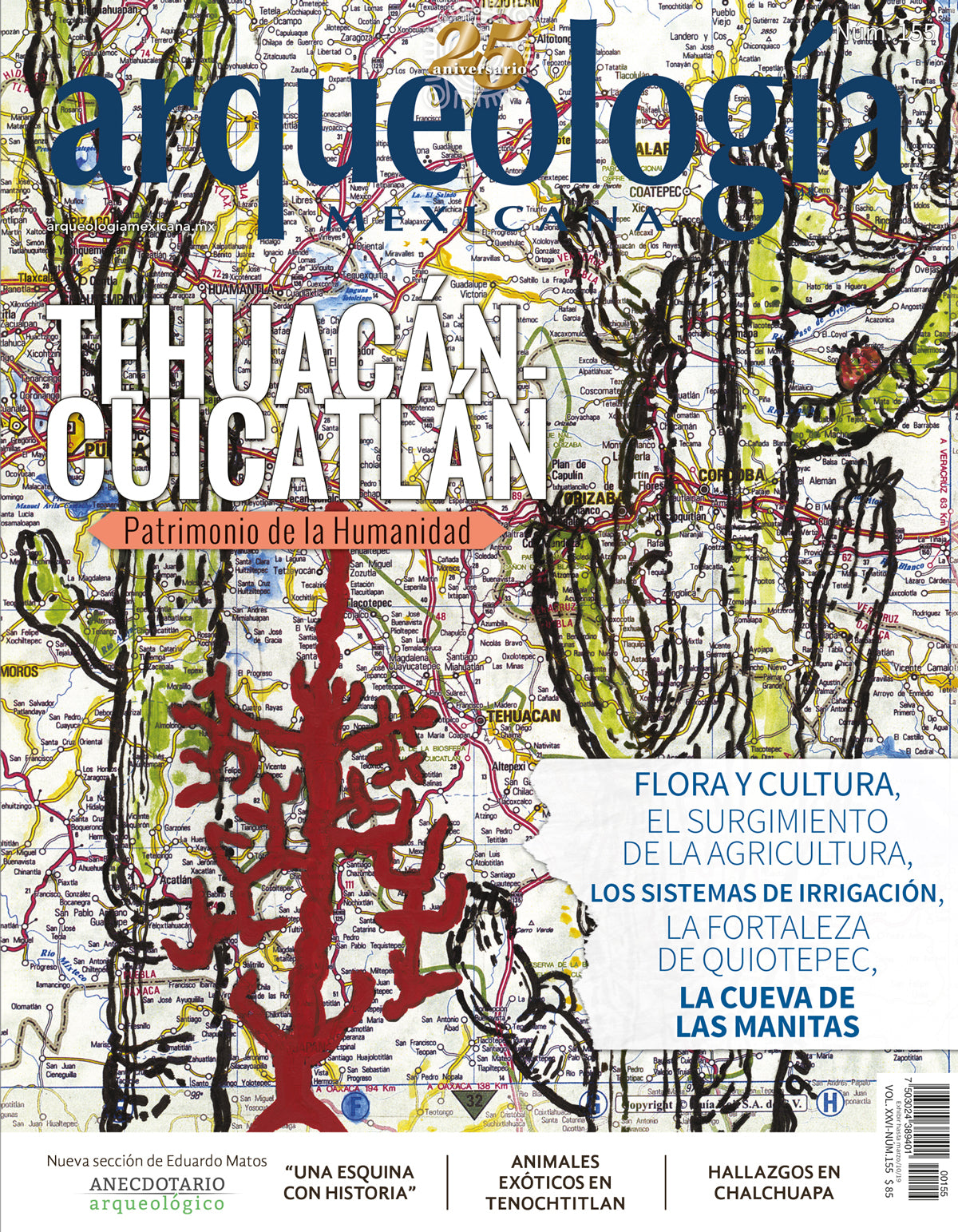 AMR 155 Tehuacán-Cuicatlán