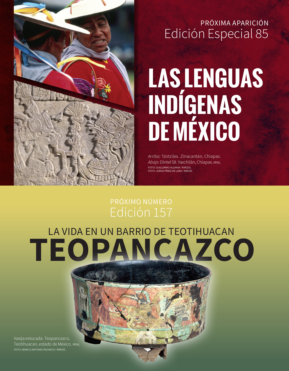 El cosmos y el Gran Acuífero Maya