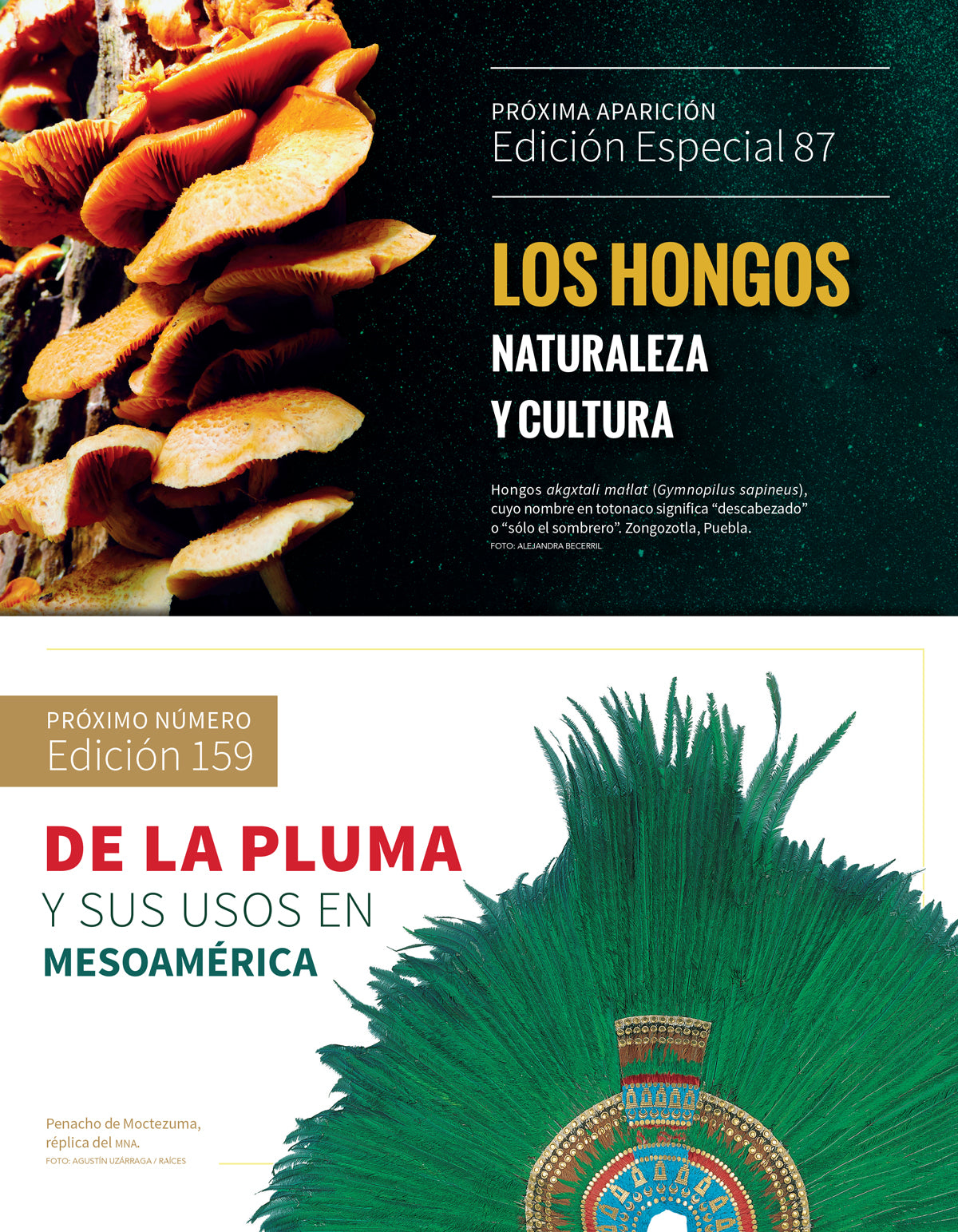 La sal en Mesoamérica