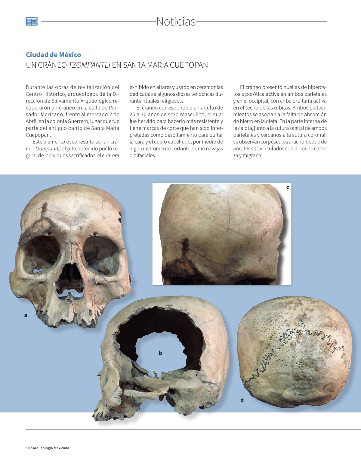 AMR 166 Los Libros del Chilam Balam
