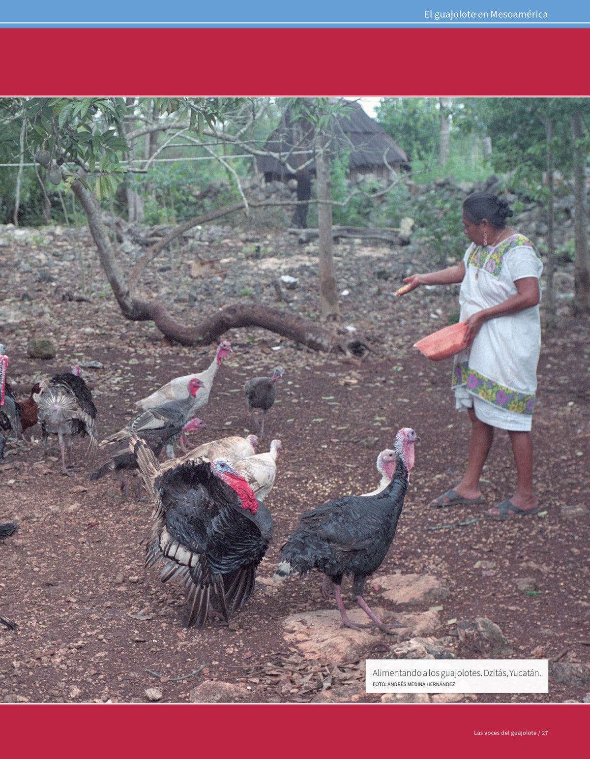 El Guajolote de México al mundo