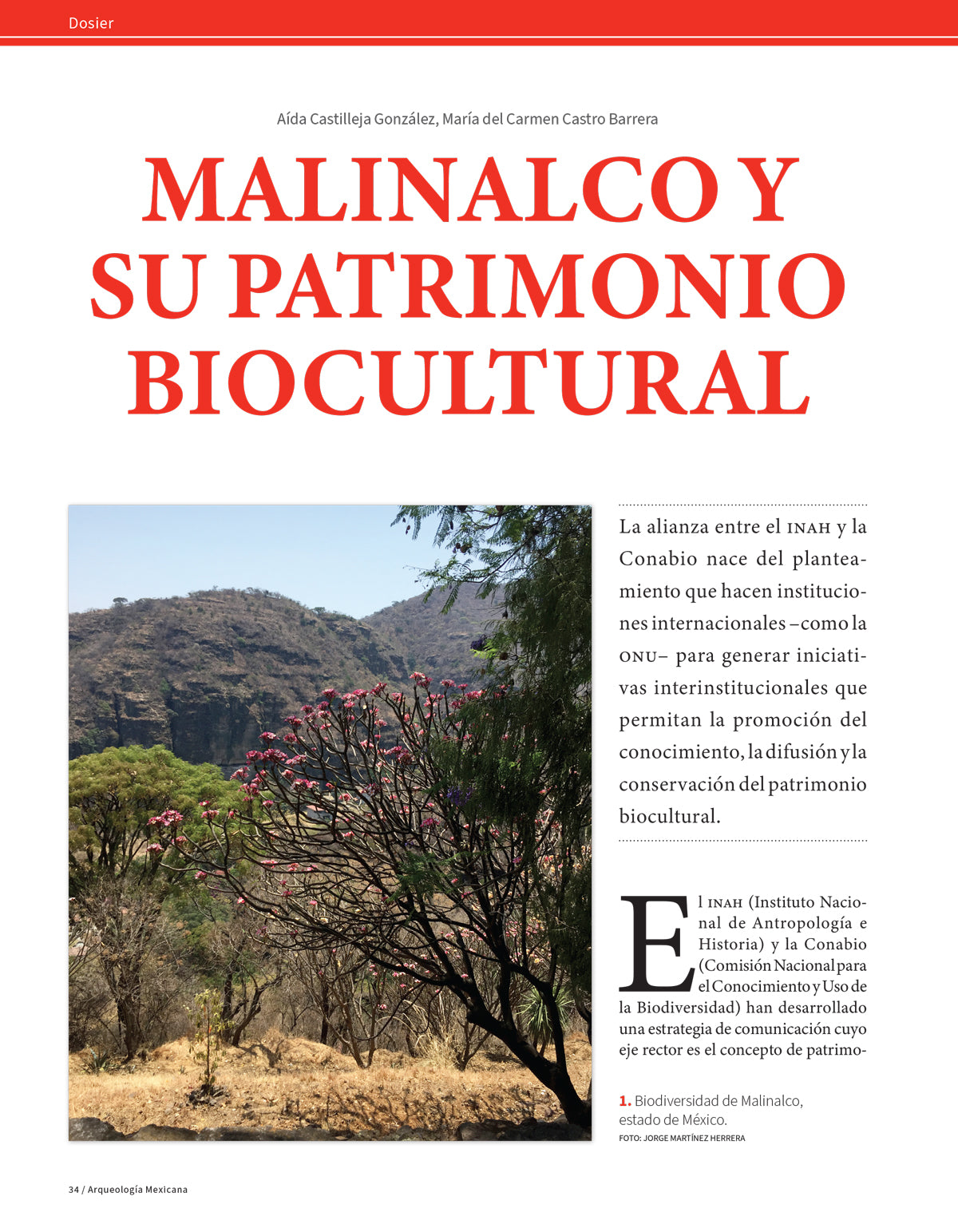 AMR 178 Malinalco, estado de México.