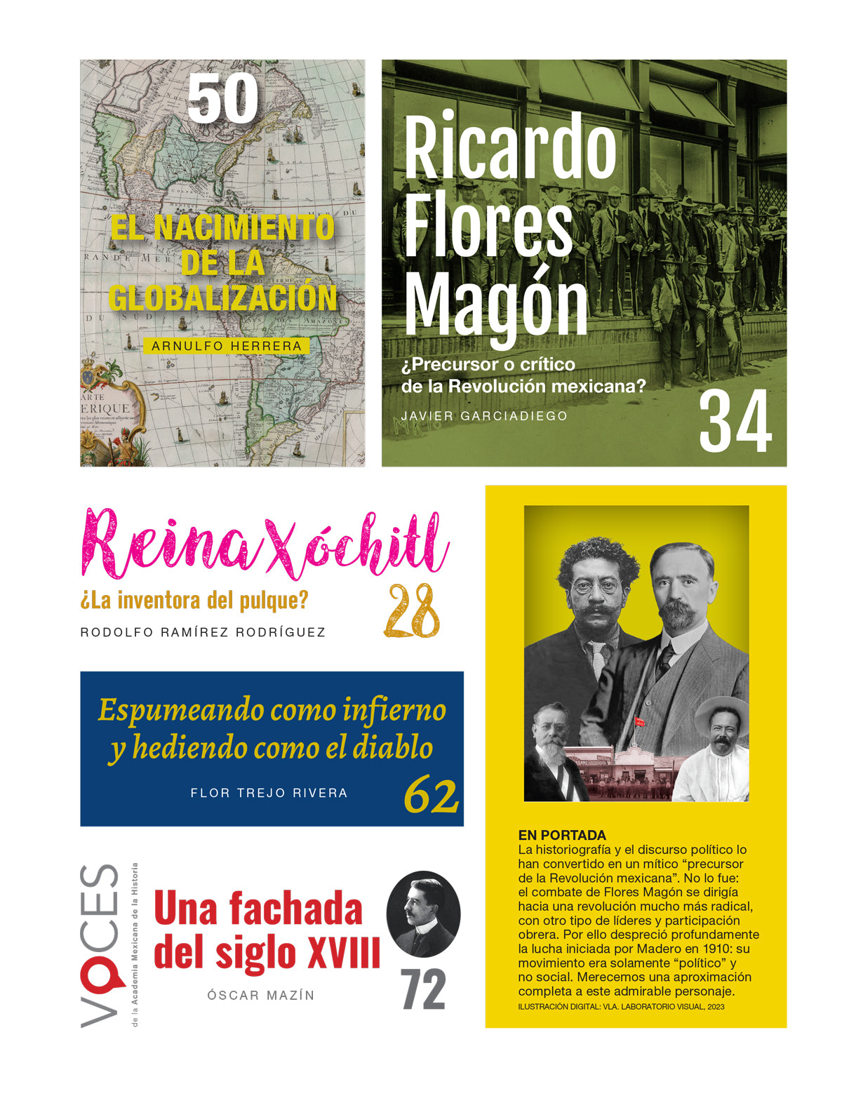 Flores Magón. ¿Precursor o crítico de la Revolución mexicana?