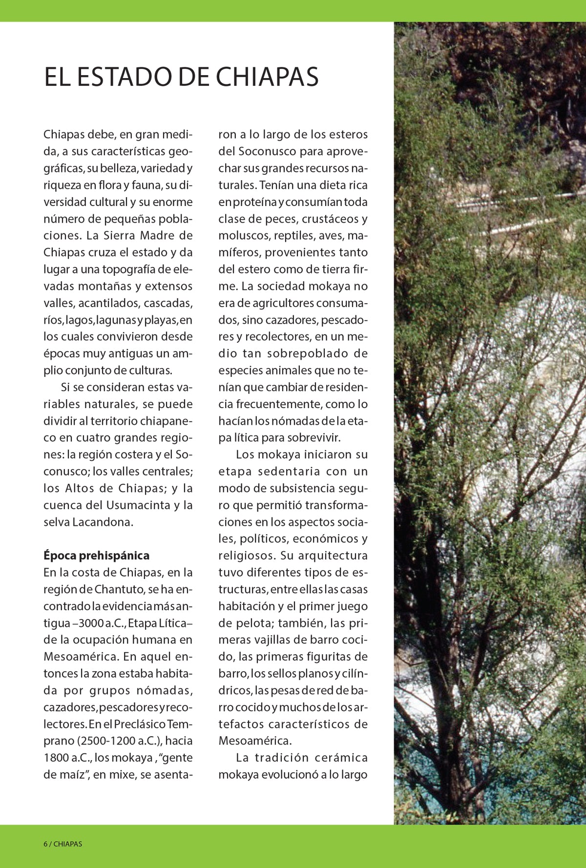 Chiapas - Guía del estado