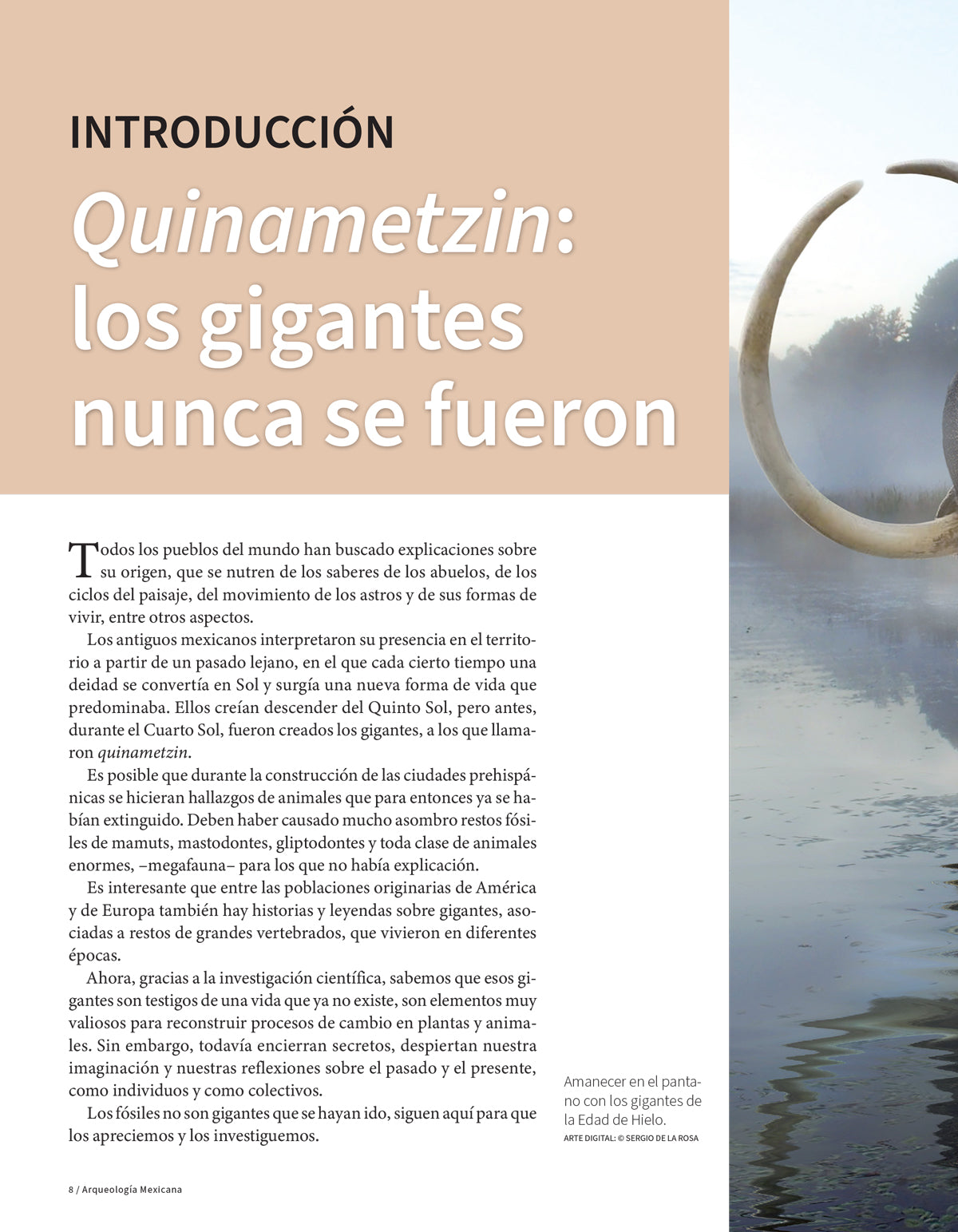 Quinametzin. Museo paleontológico de Santa Lucía