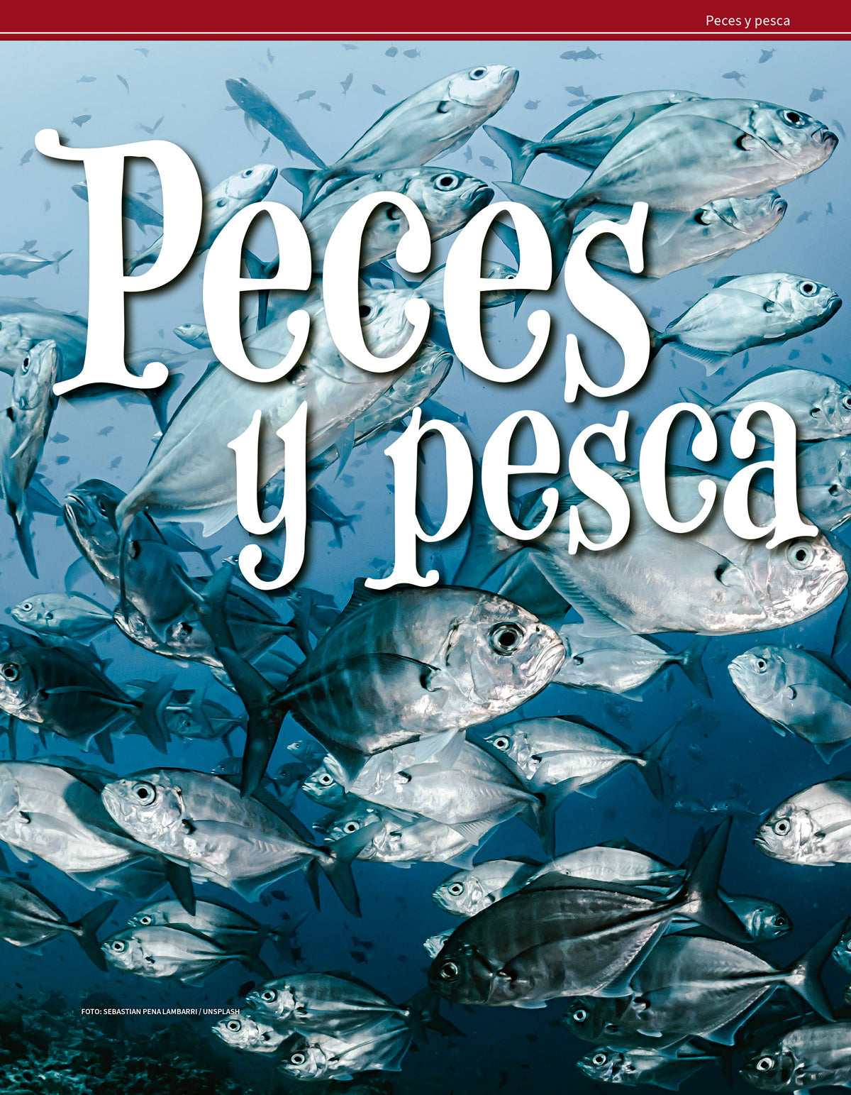 Peces y pesca