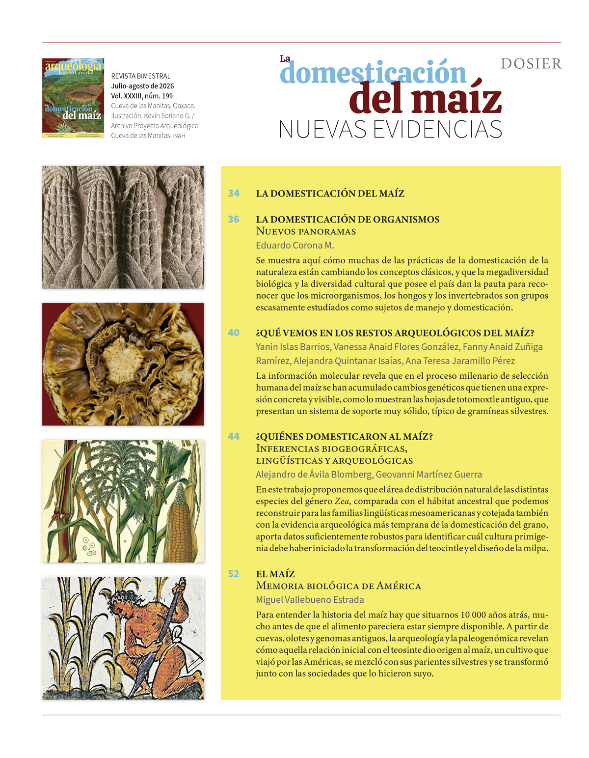 La domesticación del maíz. Nuevas evidencias