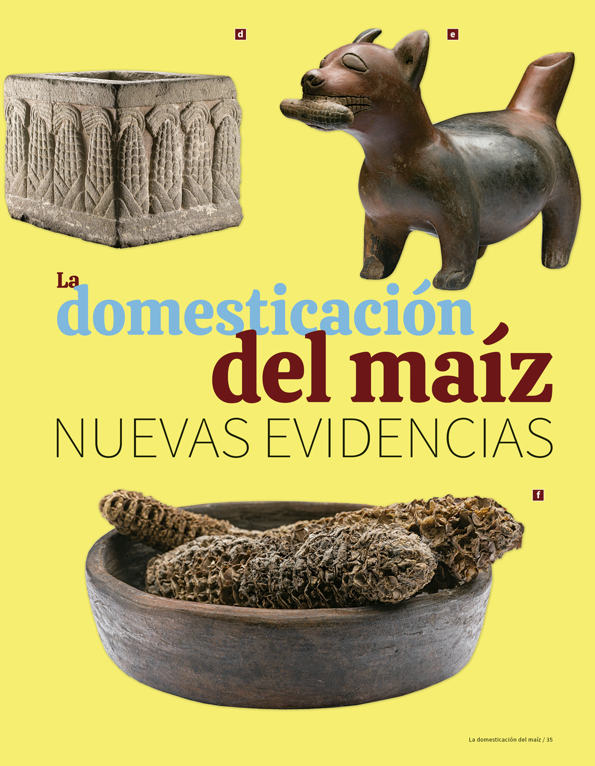 La domesticación del maíz. Nuevas evidencias