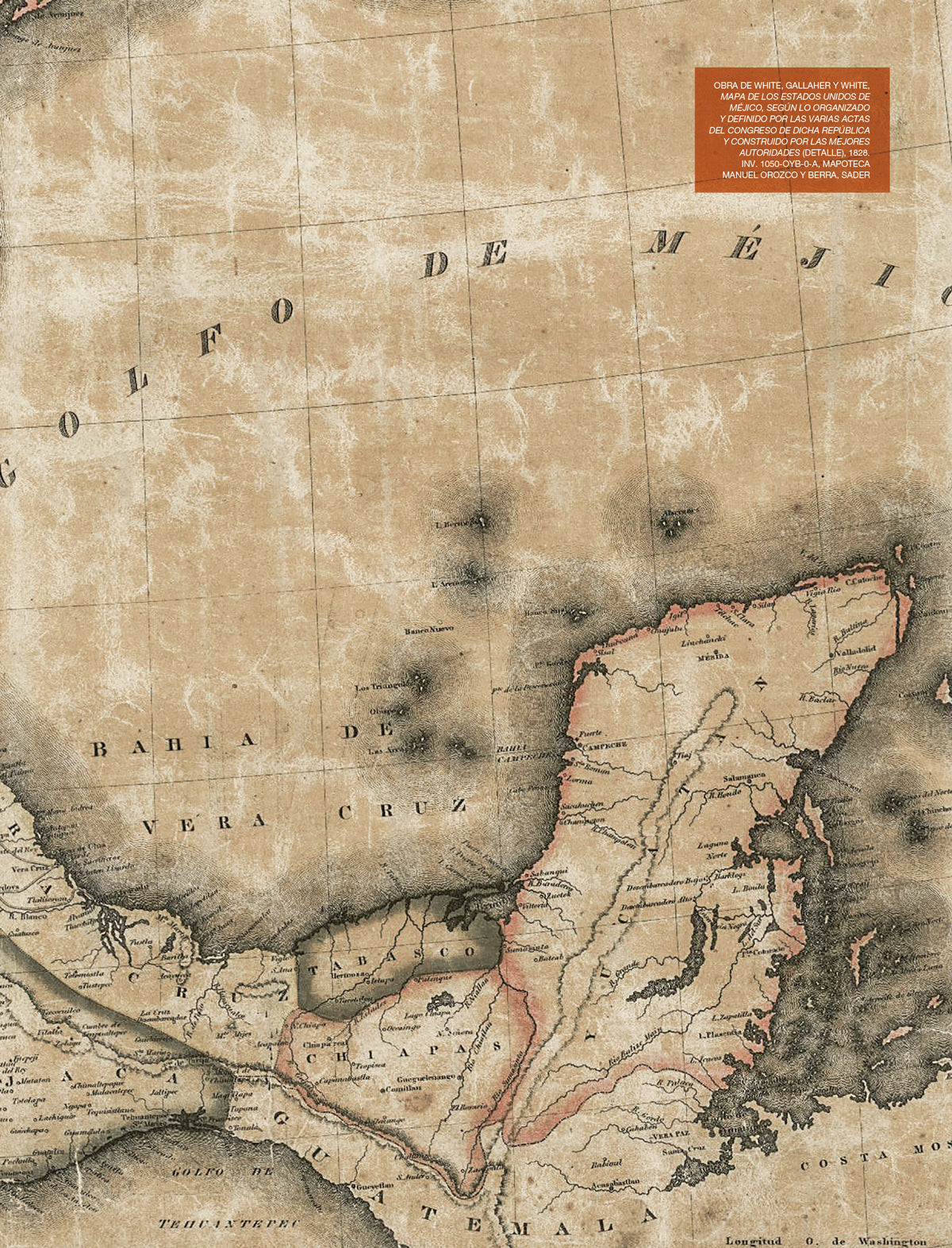 Chiapas bajo disputa