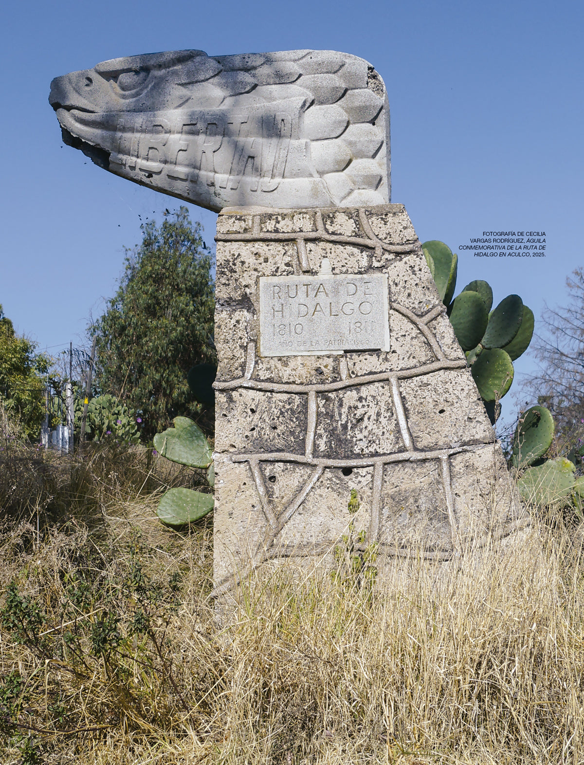 RHM 215 La ruta de Hidalgo