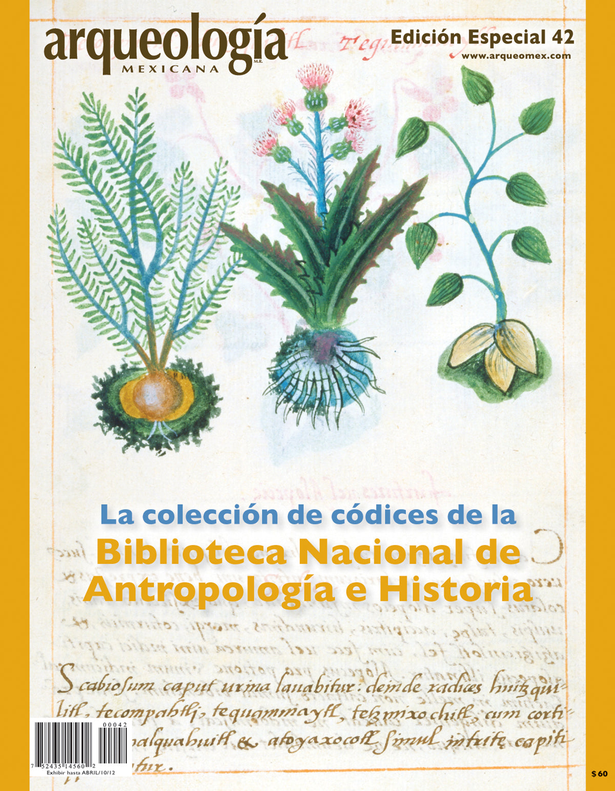 La colección de códices de la Biblioteca Nacional de Antropología e Historia. Primera parte