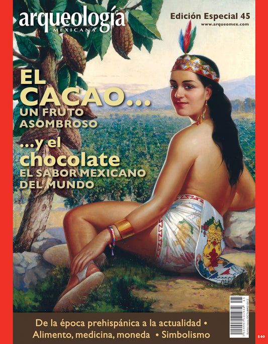 El cacao... Un fruto asombroso