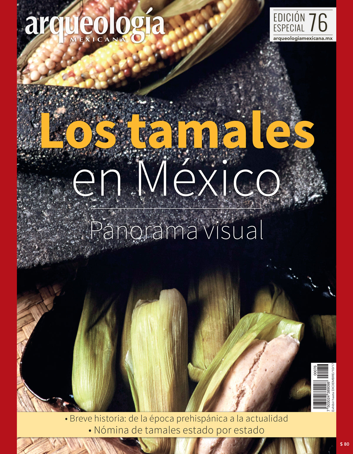 Los tamales en México: Panorama visual