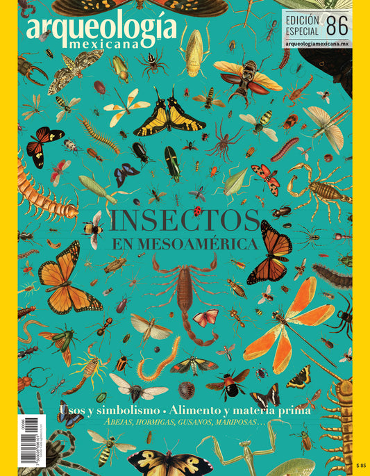 Insectos en Mesoamérica